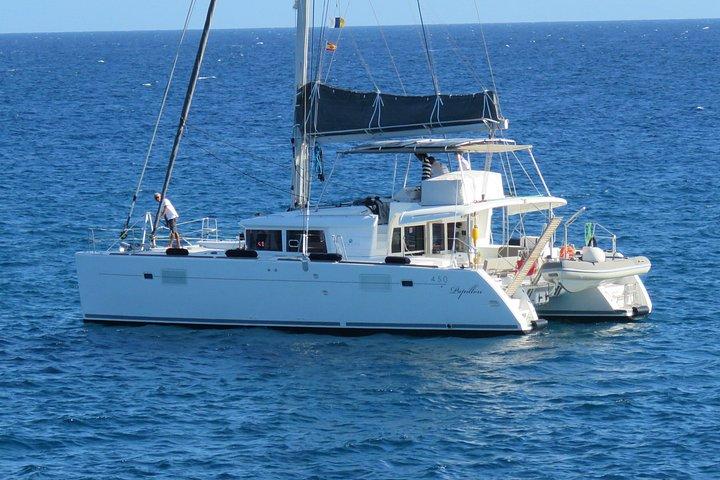 Afternoon Discovery Whale Watching Experience Los Cristianos