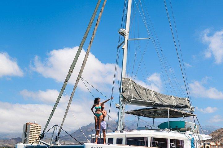 Afternoon Discovery Whale Watching Experience Los Cristianos
