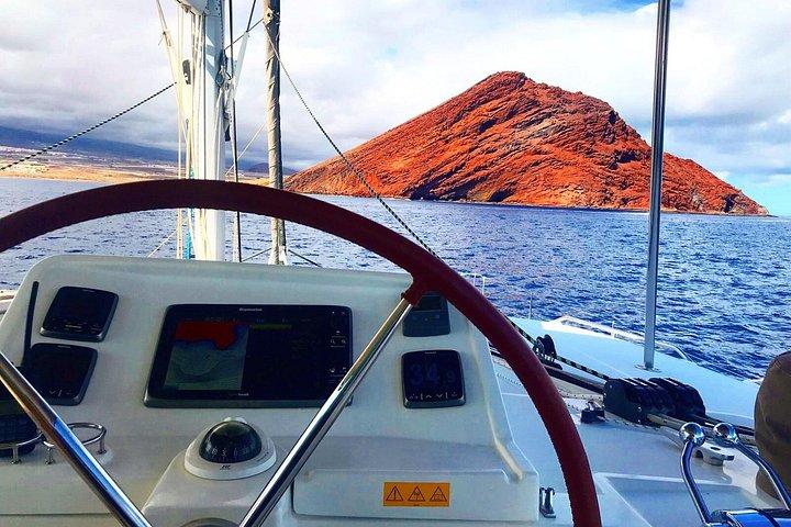 Afternoon Discovery Whale Watching Experience Los Cristianos