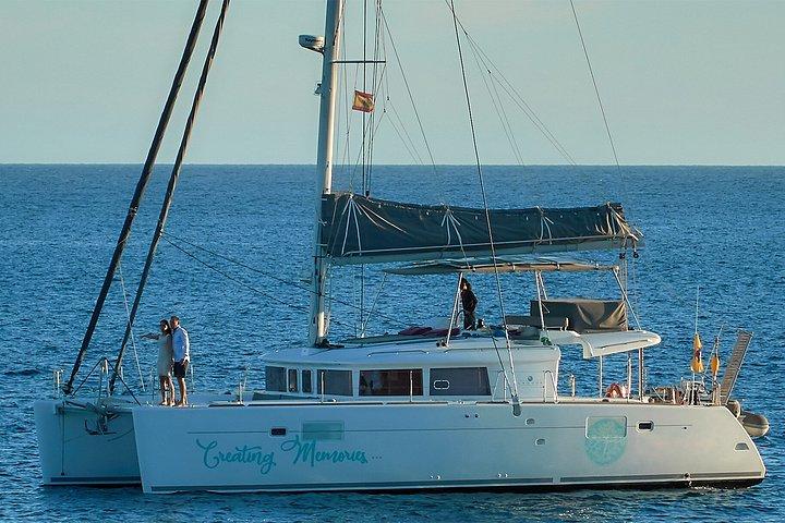 Afternoon Discovery Whale Watching Experience Los Cristianos
