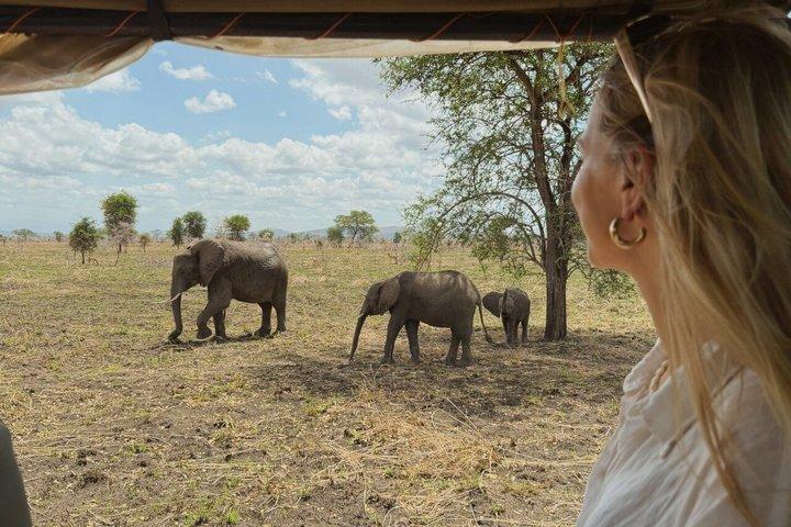 De Zanzibar : 1 - Dia Selous Safari com voo e almoço