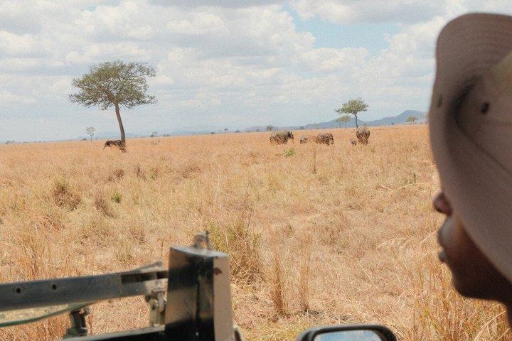 De Zanzibar : 1 - Dia Selous Safari com voo e almoço