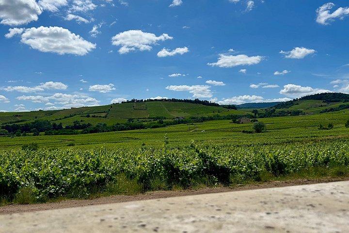 From Lyon: Beaujolais Signature Experience Wine