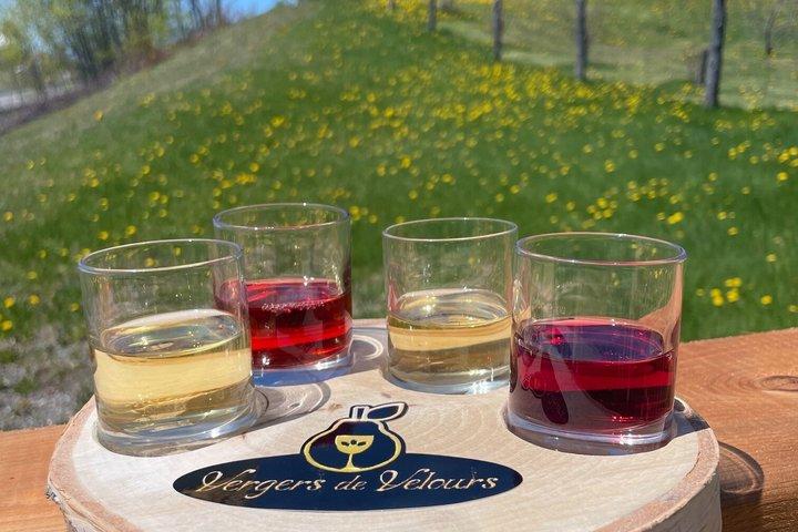 Fruit alcohol tasting + Velvet Orchards audio tour