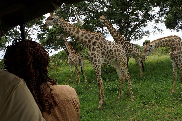 3 Tage Victoria Falls Safari Trip Package in Simbabwe und Sambia