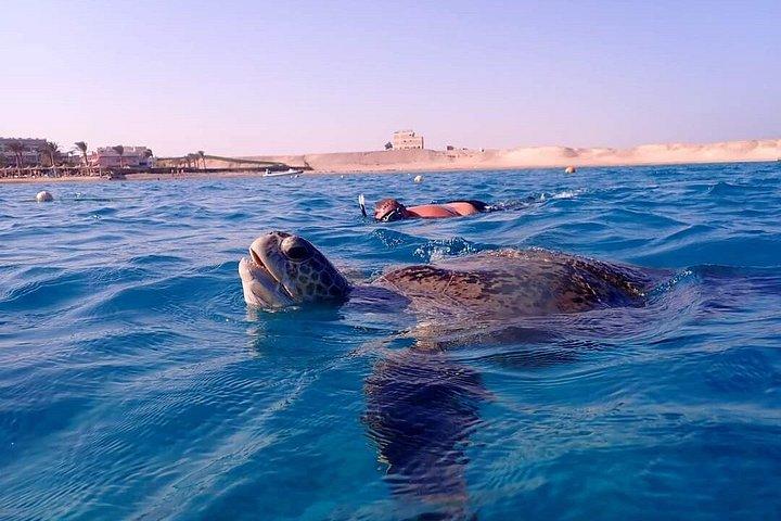 フルガダからマルサ・ムバラクの船旅