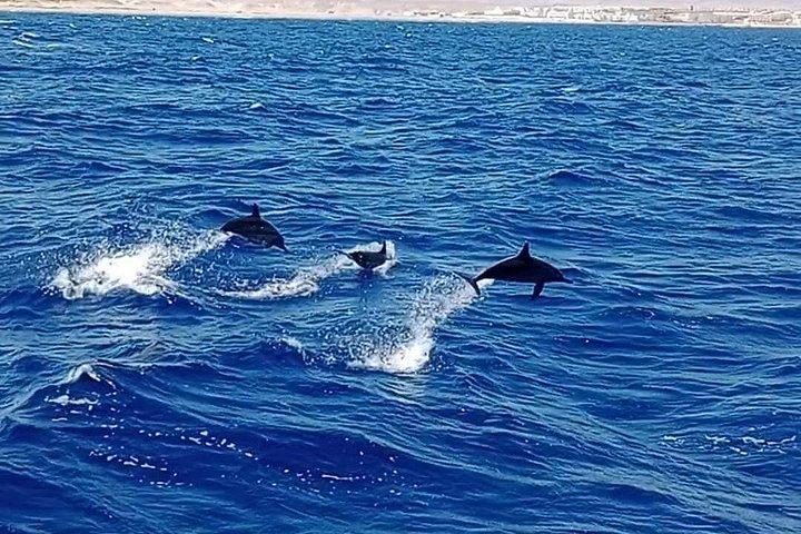 フルガダからマルサ・ムバラクの船旅