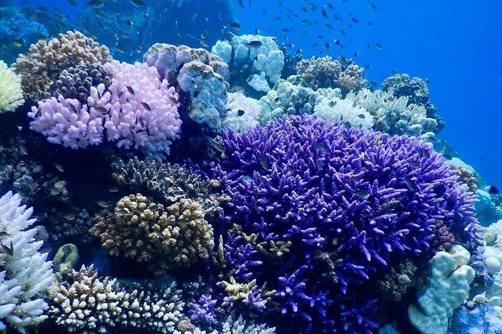 フルガダからマルサ・ムバラクの船旅