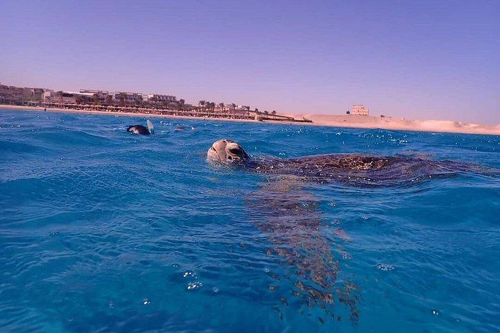 フルガダからマルサ・ムバラクの船旅