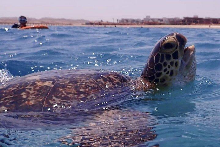 フルガダからマルサ・ムバラクの船旅