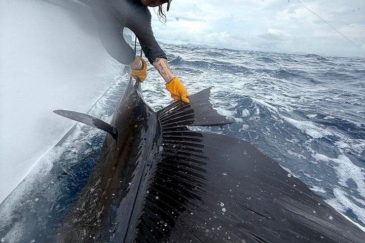 The Best Experience Fishing in Tamarindo