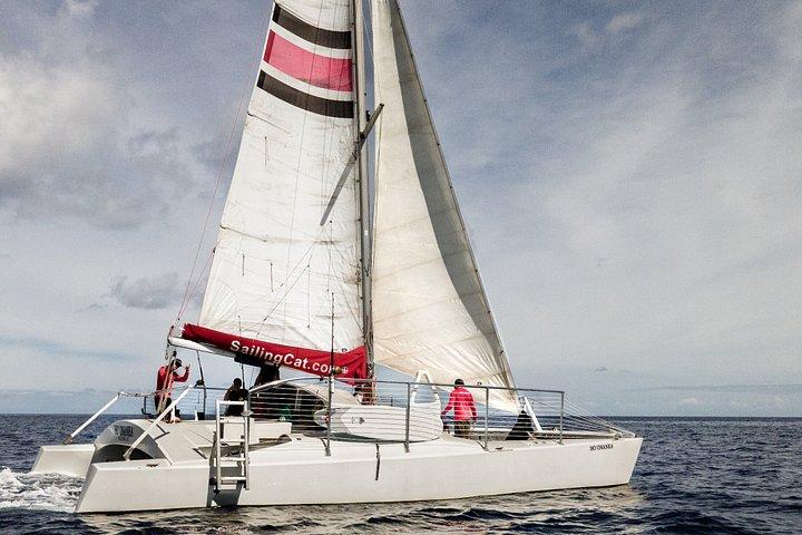 Whale Watching Catamaran Sail