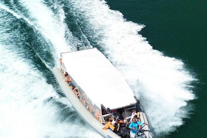 Transfert régulier d'Ilha Grande (Abraão) à Rio de Janeiro.
