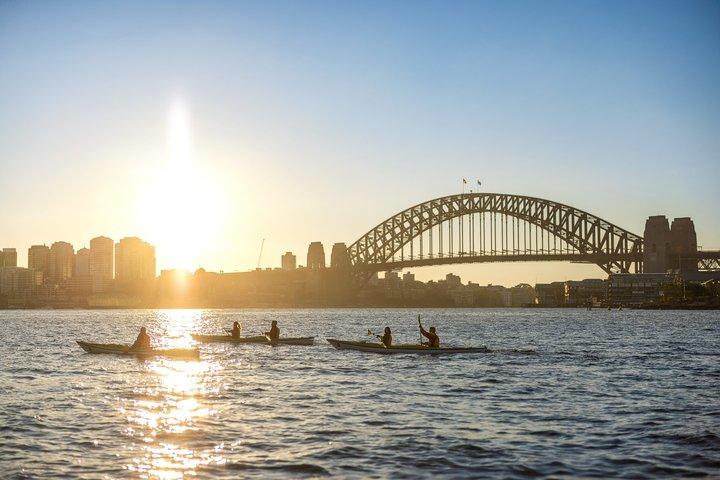 Ultimative Private Sea Kayaking Eventyr på Sydney Havn