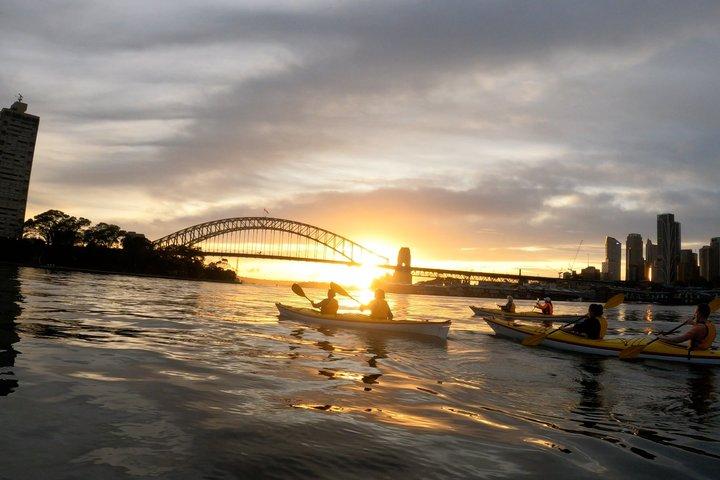 Ultimative Private Sea Kayaking Eventyr på Sydney Havn