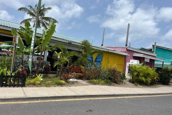St. Kitts : tour delle spiagge più belle"