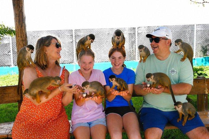 Monkey Interaction Shore udflugt fra Amber Cove og Taino Bay