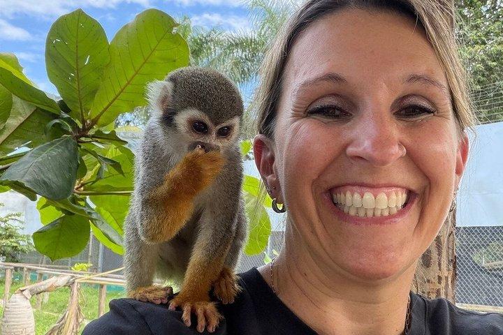 Monkey Mania Puerto Plata