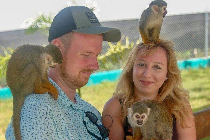 Monkey Interaction Shore Excursão de Amber Cove e Taino Bay