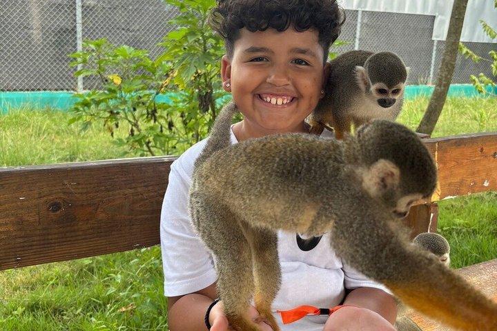 Monkey Interaction Shore Excursão de Amber Cove e Taino Bay