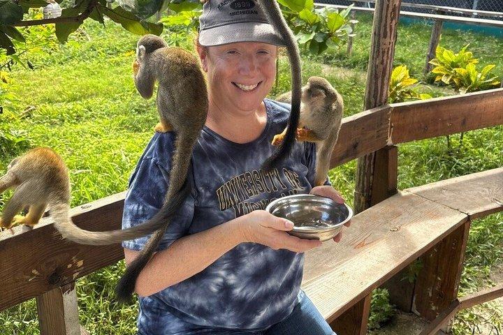 琥珀の入り江とタイノ湾からのサルのふれあいショアエクスカーション