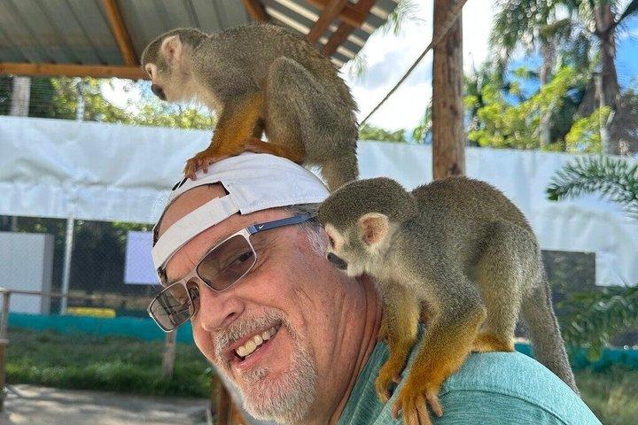 琥珀の入り江とタイノ湾からのサルのふれあいショアエクスカーション