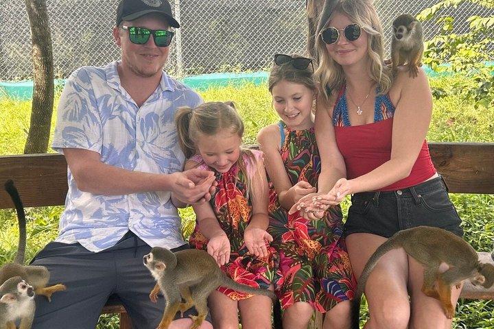 Monkey Mania Puerto Plata