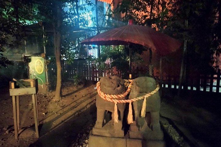 浅草夜散歩ツアー浅草寺と郷土料理