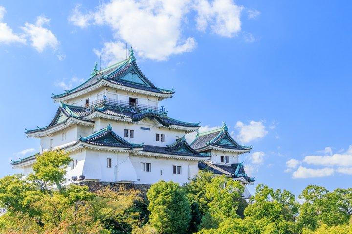 Tour de 1 día al castillo de Wakayama y al mercado de Kuroshio