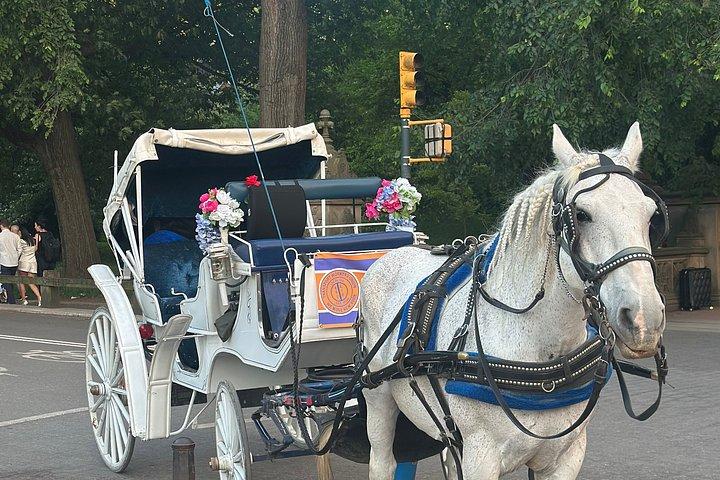 Billeder af Central Park Carriage Ride