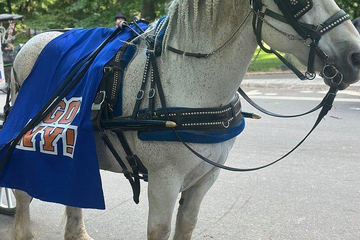 Billeder af Central Park Carriage Ride