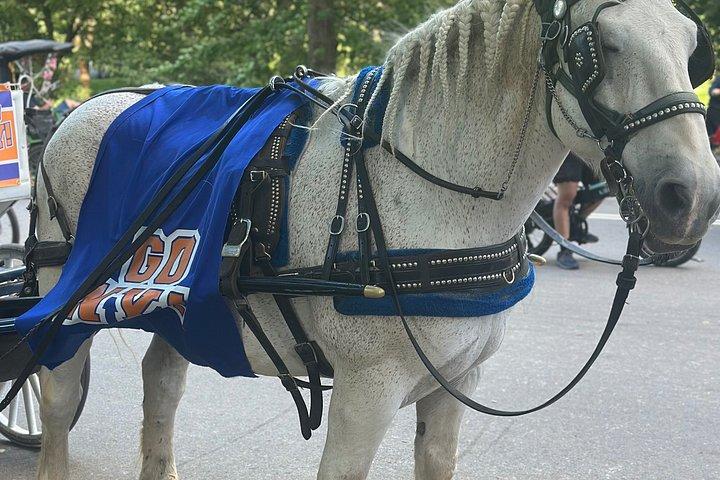 Billeder af Central Park Carriage Ride