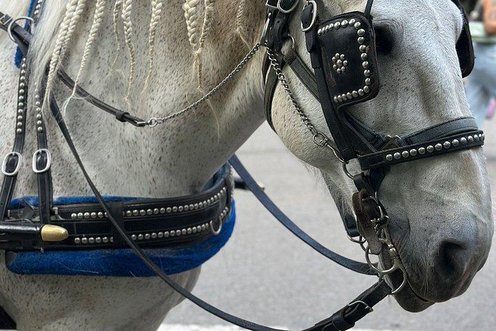 Billeder af Central Park Carriage Ride