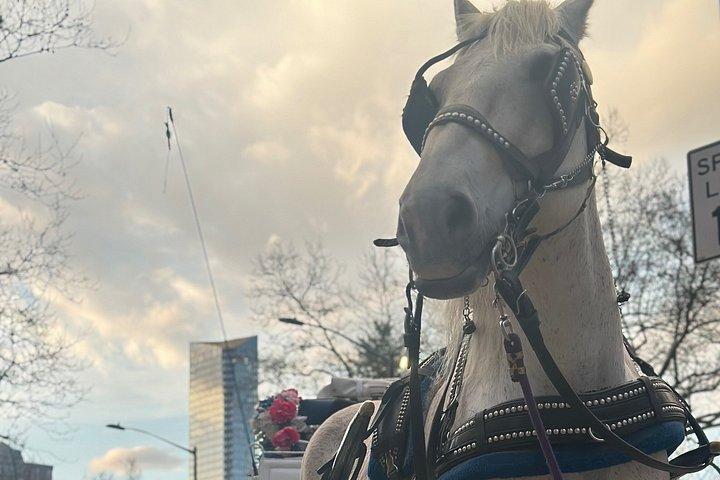 Billeder af Central Park Carriage Ride