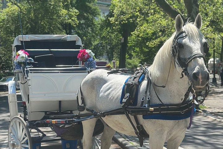 Billeder af Central Park Carriage Ride