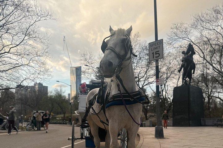 Billeder af Central Park Carriage Ride