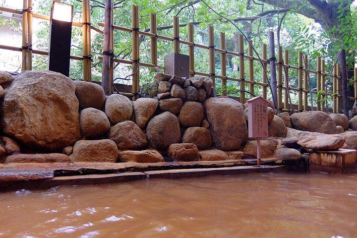 Private Arima Onsen & Mt Rokko Tour (Shore Excursion Available)