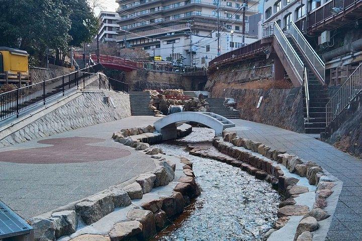 Private Arima Onsen & Mt Rokko Tour (Shore Excursion Available)