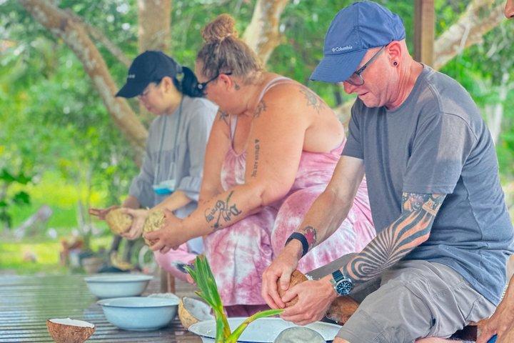 Santuário de Elefantes de Koh Samui e Vida da Ilha