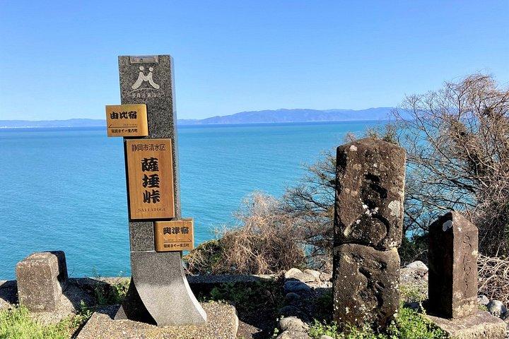 Shimizu Customizable Tour with National Licensed Guide by Car