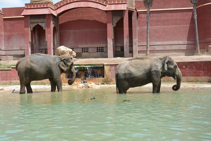 Terra Natura Benidorm入場チケット