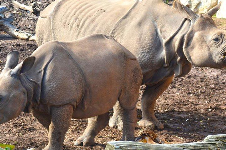 Terra Natura Benidorm入場チケット