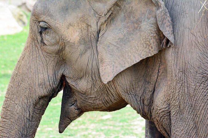 Terra Natura Benidorm入場チケット