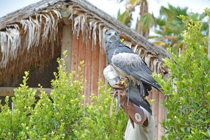 Terra Natura Benidorm入場チケット
