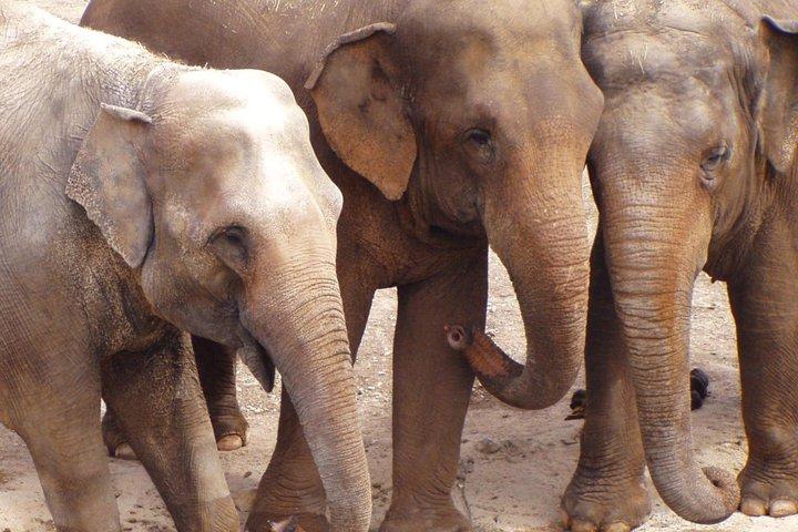 Terra Natura Benidorm入場チケット