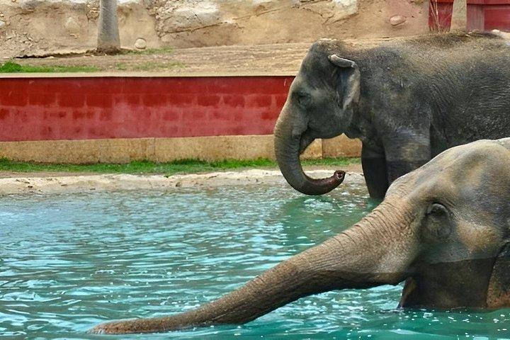 Terra Natura Benidorm入場チケット