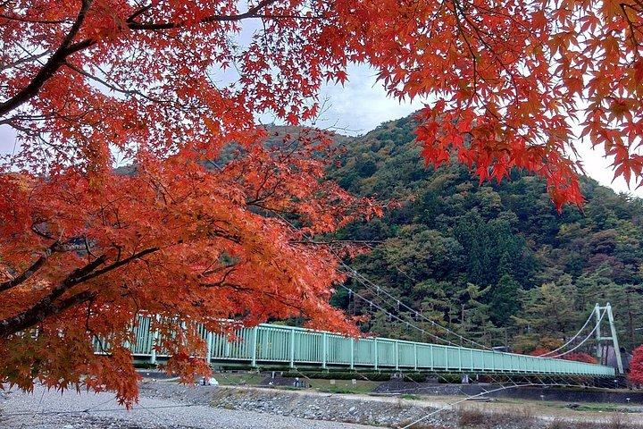 新宿ターミナル～田場山フレキシブル3日間農村日本ツアー