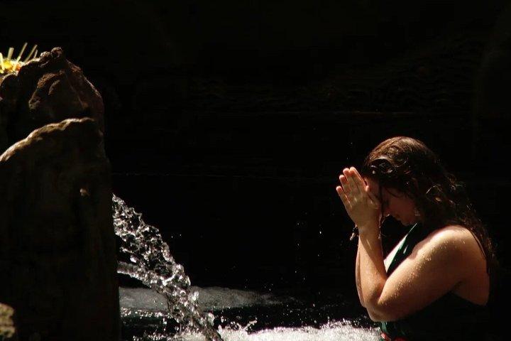 Ubud Private Custom Tour com templos, swing e cachoeiras