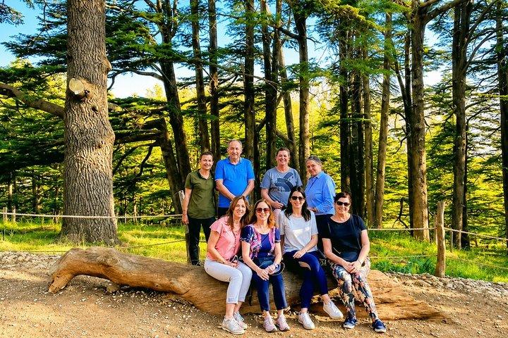 Kleingruppentour Qadisha Valley, Becharre und Cedars mit Mittagessen und Tickets