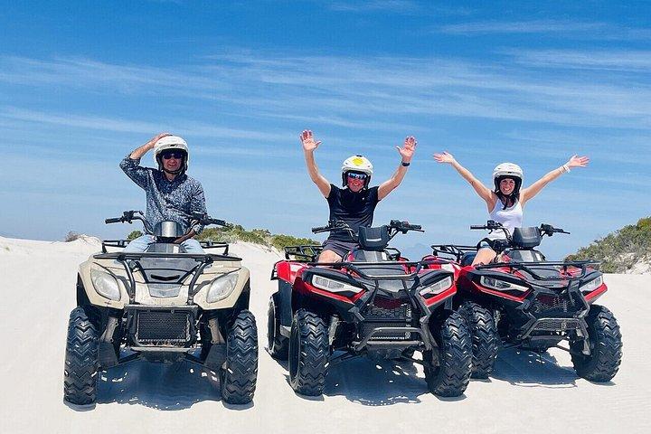 ケープタウン:アトランタ砂丘クワッドバイクライドMELKBOS 4X4